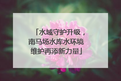 水域守护升级，南马场水库水环境维护再添新力量