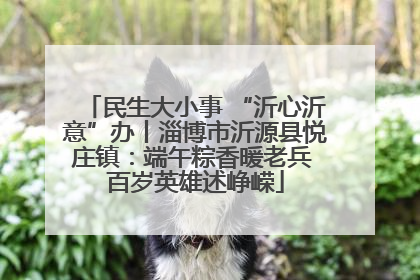 民生大小事 “沂心沂意”办丨淄博市沂源县悦庄镇：端午粽香暖老兵 百岁英雄述峥嵘