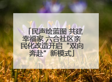 民声绘蓝图 共建幸福家 六合社区亲民化改造开启“双向奔赴”新模式