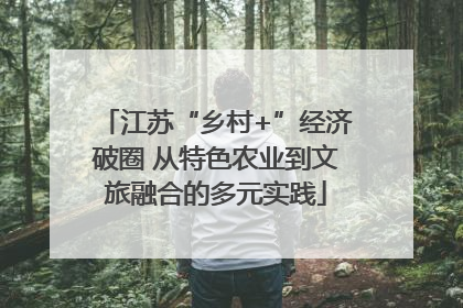 江苏“乡村+”经济破圈 从特色农业到文旅融合的多元实践