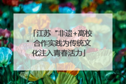 江苏“非遗+高校”合作实践为传统文化注入青春活力