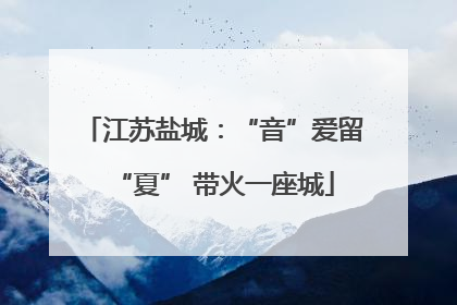 江苏盐城：“音”爱留“夏” 带火一座城