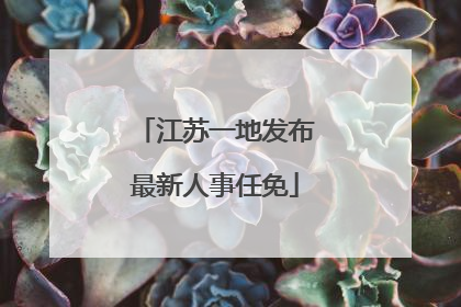 江苏一地发布最新人事任免