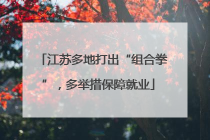 江苏多地打出“组合拳”，多举措保障就业