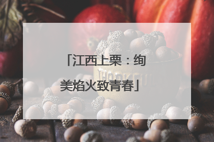江西上栗：绚美焰火致青春