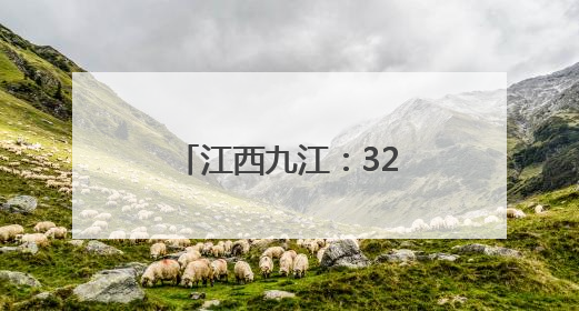 江西九江：32只青头潜鸭宝宝出巢 数量创新高