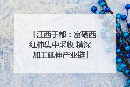 江西于都：富硒西红柿集中采收 精深加工延伸产业链