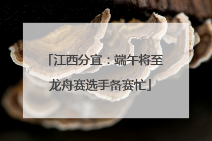 江西分宜：端午将至 龙舟赛选手备赛忙