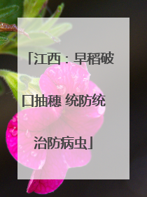 江西：早稻破口抽穗 统防统治防病虫