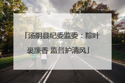 汤阴县纪委监委：粽叶裹廉香 监督护清风
