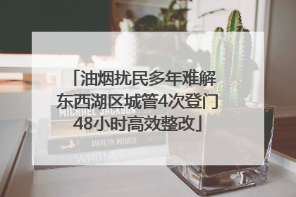 油烟扰民多年难解 东西湖区城管4次登门48小时高效整改