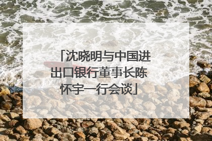 沈晓明与中国进出口银行董事长陈怀宇一行会谈