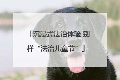 沉浸式法治体验 别样“法治儿童节”