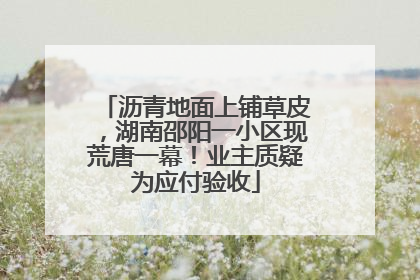 沥青地面上铺草皮，湖南邵阳一小区现荒唐一幕！业主质疑为应付验收