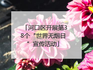 河口区开展第38个“世界无烟日”宣传活动