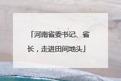 河南省委书记、省长，走进田间地头