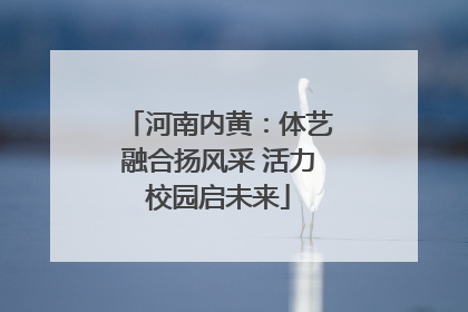 河南内黄：体艺融合扬风采 活力校园启未来