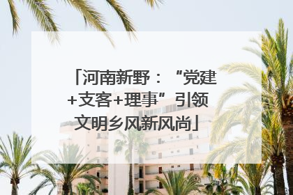 河南新野：“党建+支客+理事”引领文明乡风新风尚