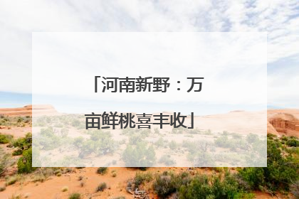 河南新野：万亩鲜桃喜丰收