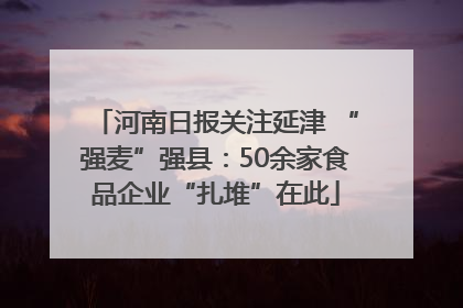 河南日报关注延津 “强麦”强县：50余家食品企业“扎堆”在此