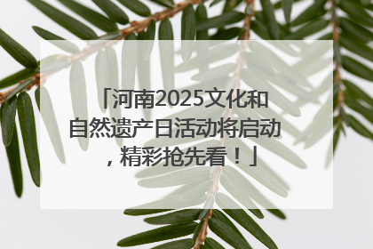 河南2025文化和自然遗产日活动将启动，精彩抢先看！