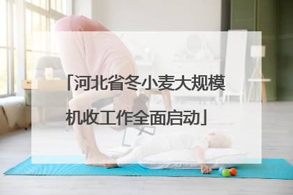 河北省冬小麦大规模机收工作全面启动