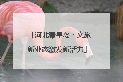 河北秦皇岛：文旅新业态激发新活力
