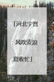 河北宁晋：风吹麦浪夏收忙