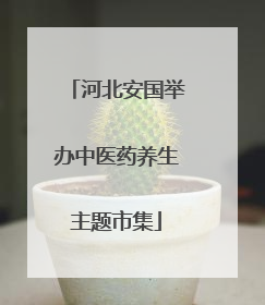 河北安国举办中医药养生主题市集