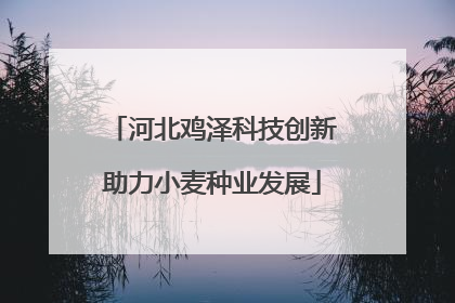 河北鸡泽科技创新助力小麦种业发展