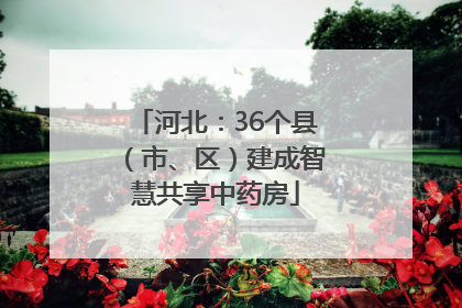 河北：36个县（市、区）建成智慧共享中药房