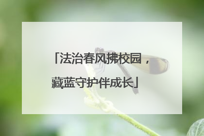 法治春风拂校园，藏蓝守护伴成长