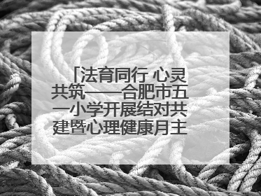 法育同行 心灵共筑——合肥市五一小学开展结对共建暨心理健康月主题活动