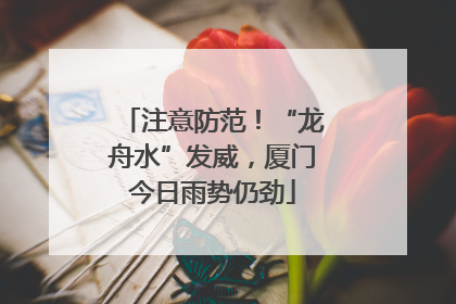 注意防范！“龙舟水”发威，厦门今日雨势仍劲