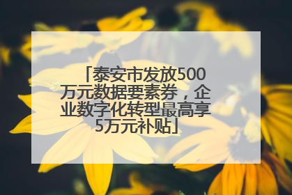 泰安市发放500万元数据要素券，企业数字化转型最高享5万元补贴