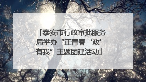 泰安市行政审批服务局举办“正青春‘政’有我”主题团建活动