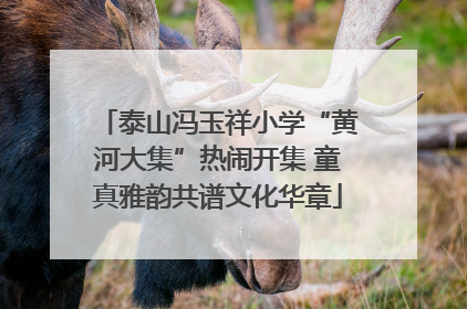 泰山冯玉祥小学“黄河大集”热闹开集 童真雅韵共谱文化华章