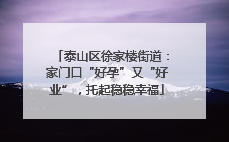 泰山区徐家楼街道：家门口“好孕”又“好业”，托起稳稳幸福