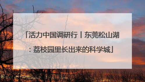 活力中国调研行丨东莞松山湖：荔枝园里长出来的科学城
