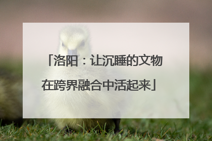 洛阳：让沉睡的文物在跨界融合中活起来