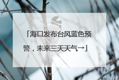 海口发布台风蓝色预警，未来三天天气→