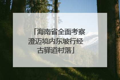 海南省全面考察澄迈境内东坡行经古驿道村落
