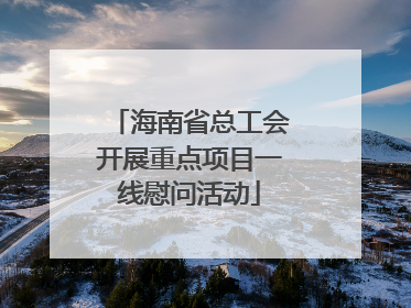 海南省总工会开展重点项目一线慰问活动