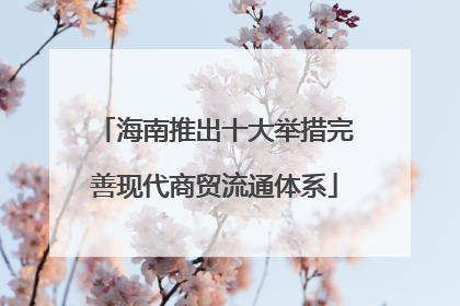 海南推出十大举措完善现代商贸流通体系