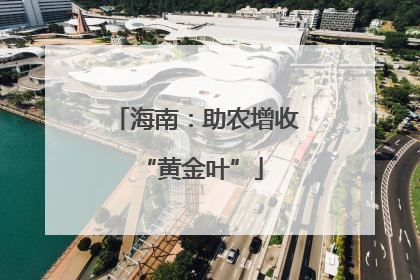 海南：助农增收 “黄金叶”