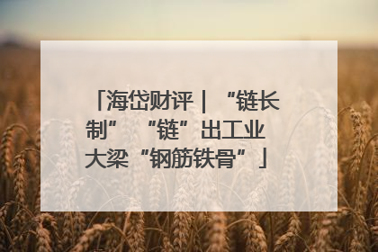海岱财评｜“链长制” “链”出工业大梁“钢筋铁骨”
