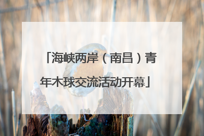 海峡两岸（南昌）青年木球交流活动开幕