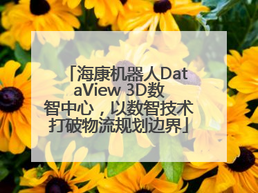 海康机器人DataView 3D数智中心，以数智技术打破物流规划边界