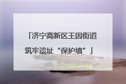 济宁高新区王因街道筑牢遗址“保护墙”