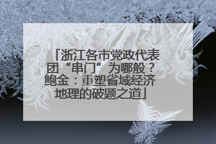 浙江各市党政代表团“串门”为哪般？鲍金：重塑省域经济地理的破题之道